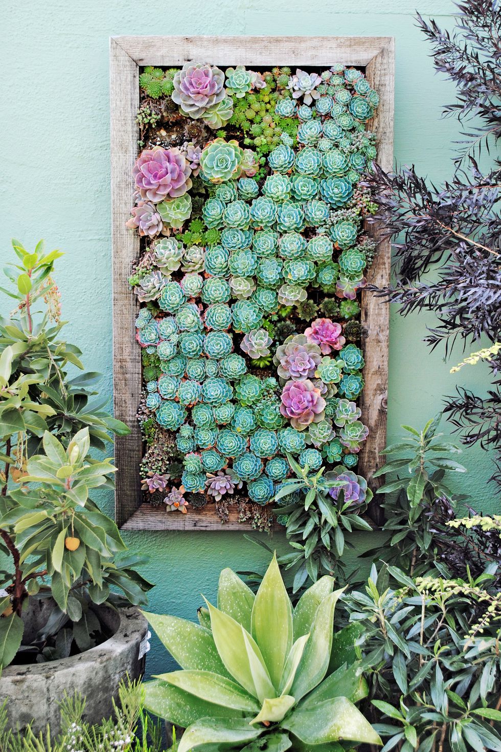 living plant wall outdoor on 13 Outdoor Succulent Wall Garden Ideas Dalla Vita