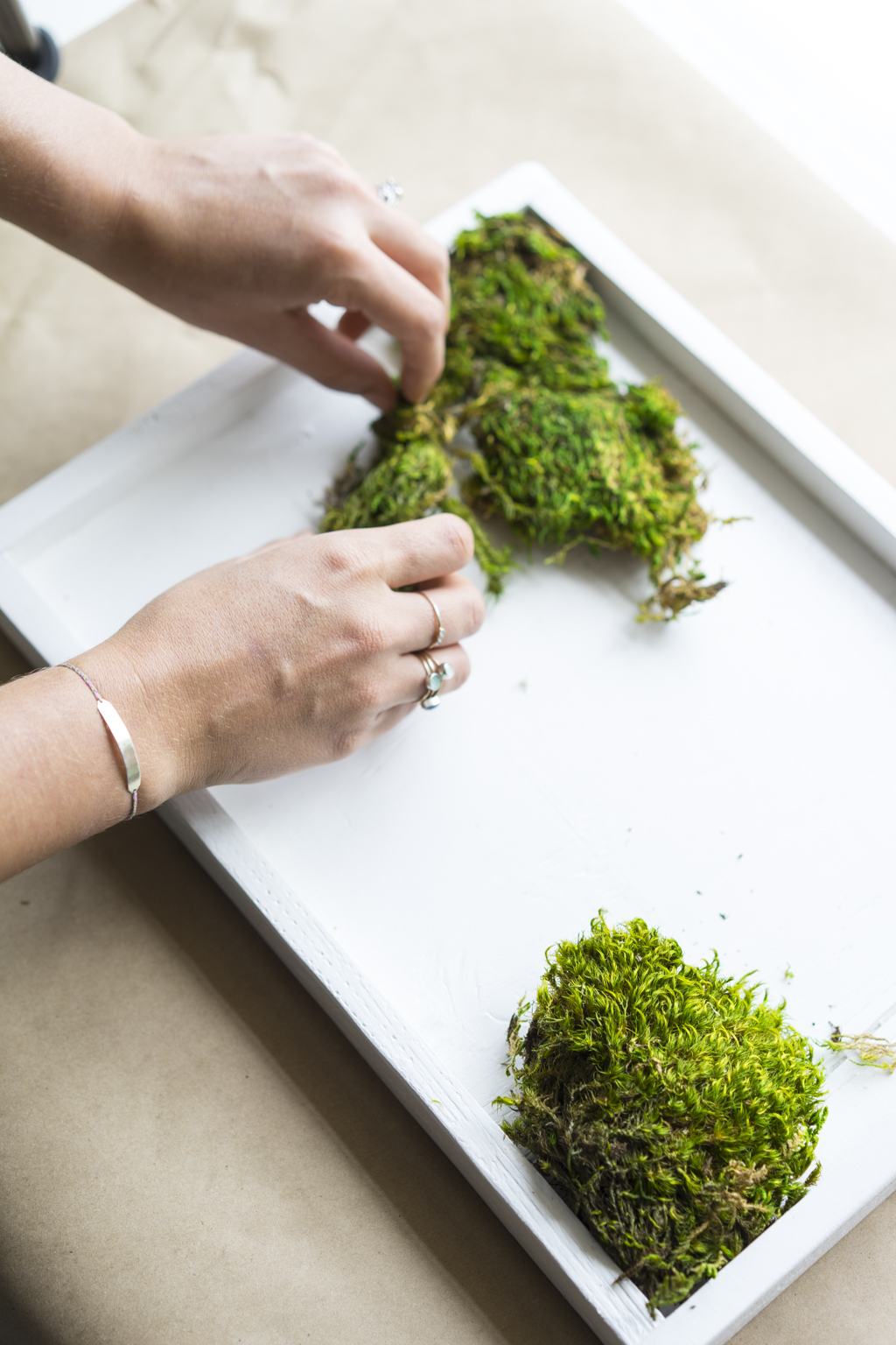 diy living moss wall on How To Make A Carefree Moss Garden Dalla Vita