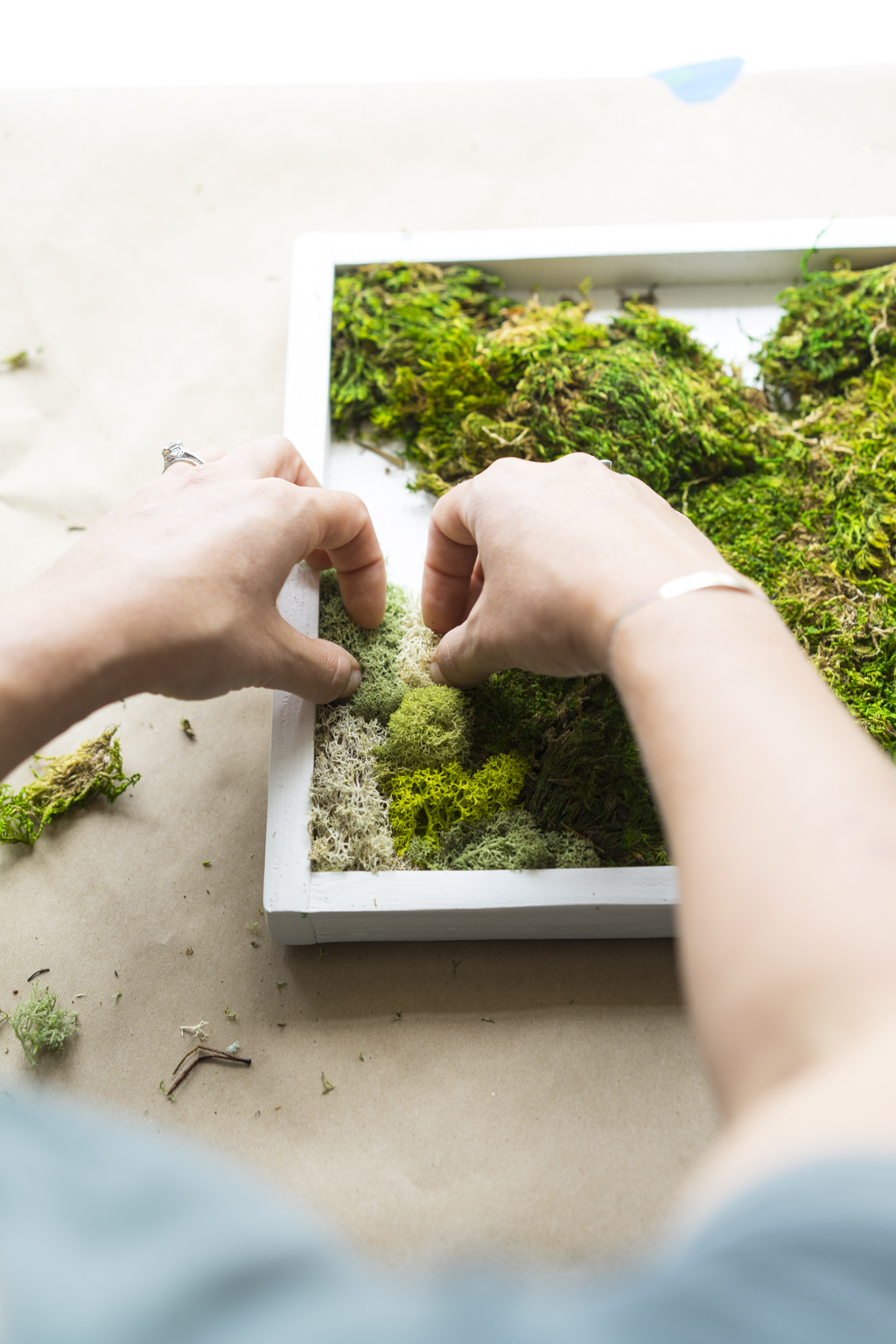 diy living moss wall on How To Make A Carefree Moss Garden Dalla Vita