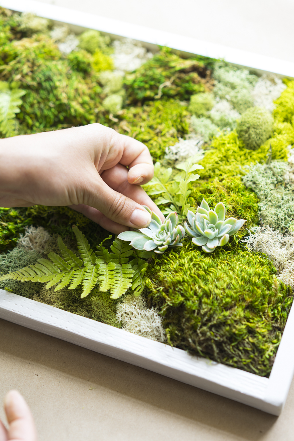 diy living moss wall on How To Make A Carefree Moss Garden Dalla Vita